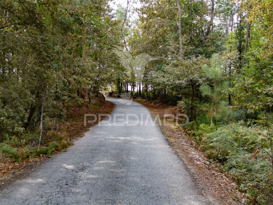 Helårsgrund i Vila Verde, Braga - foto 5