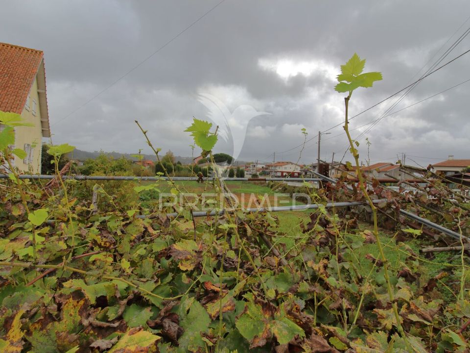 Helårsgrund i Oliveira do Bairro, Aveiro - foto 4
