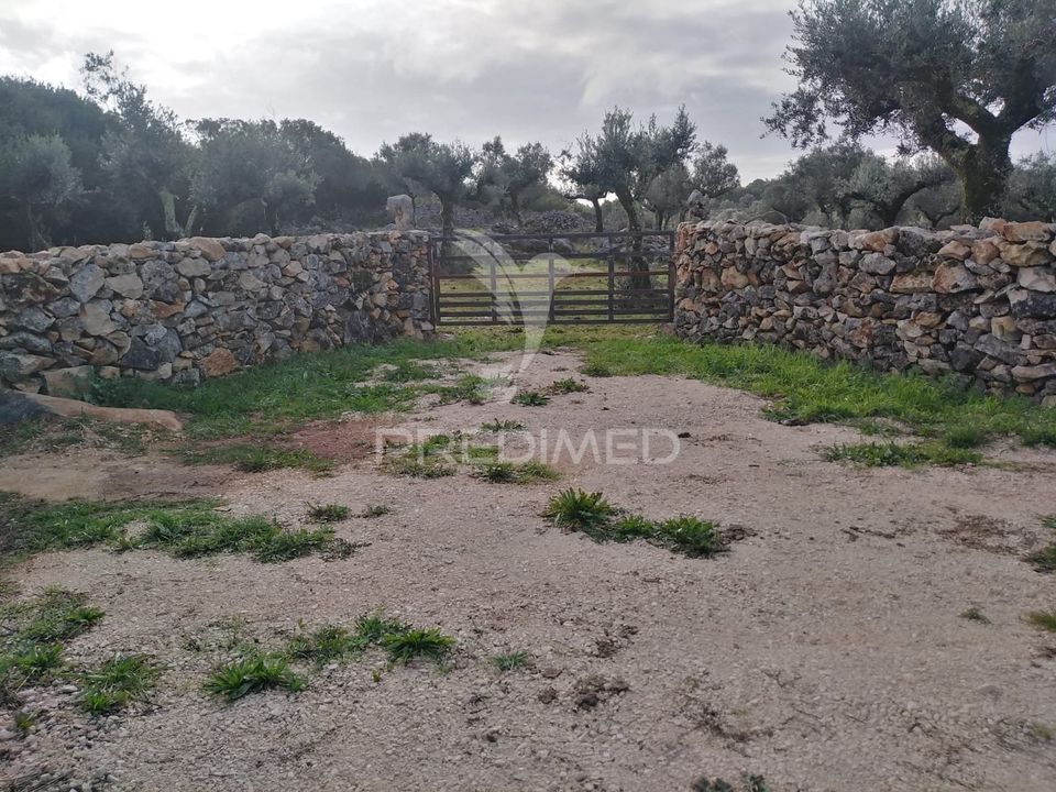 Helårsgrund i Alcanena, Santarem - foto 1