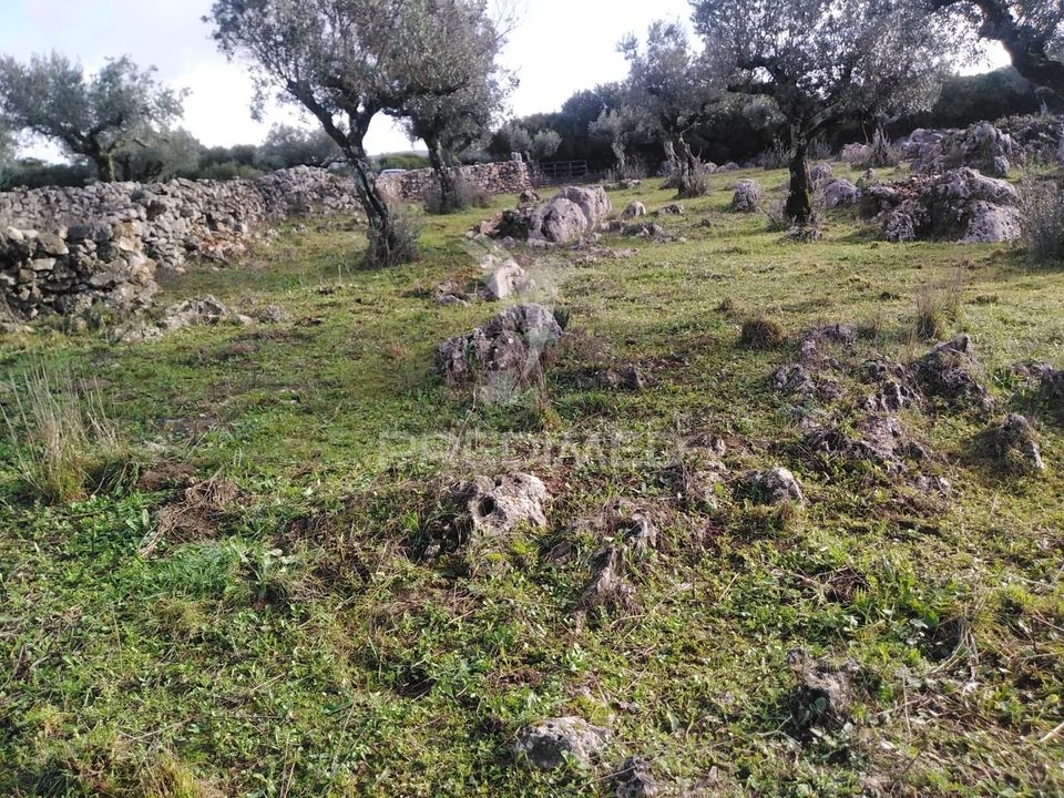 Helårsgrund i Alcanena, Santarem - foto 3