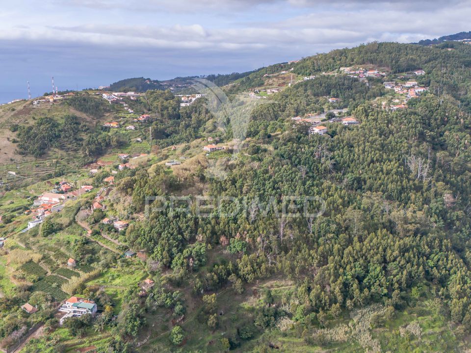 Helårsgrund i Santa Cruz, Madeira - foto 3