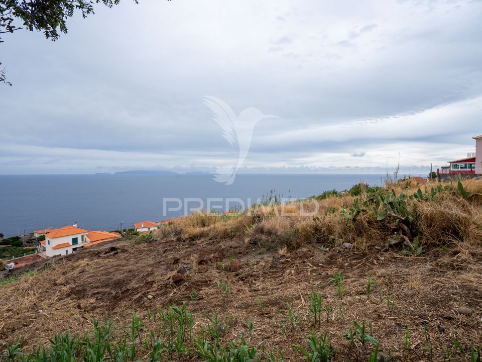 Helårsgrund i Santa Cruz, Madeira - foto 4