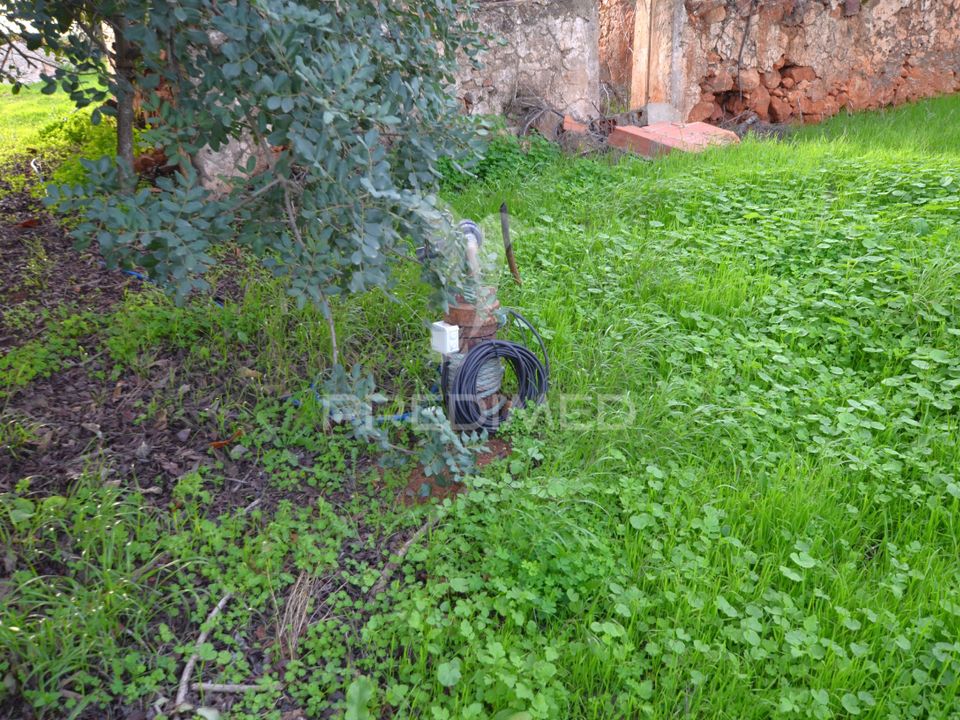 Helårsgrund i Silves, Faro - foto 5
