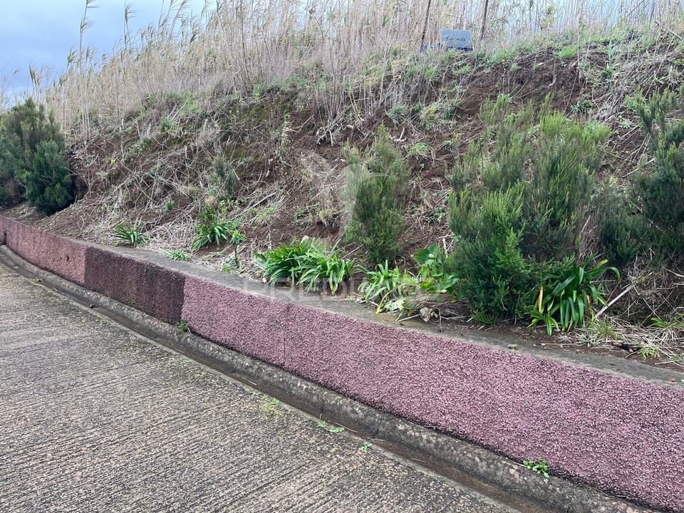 Helårsgrund i Calheta, Madeira - foto 3