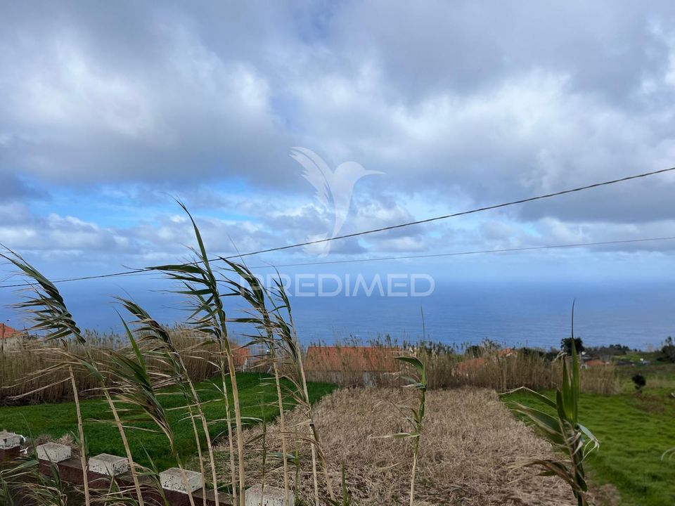 Helårsgrund i Calheta, Madeira - foto 4