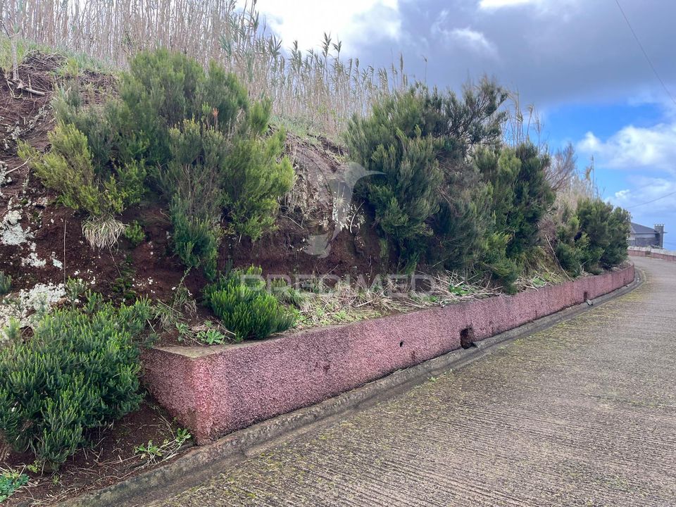 Helårsgrund i Calheta, Madeira - foto 5