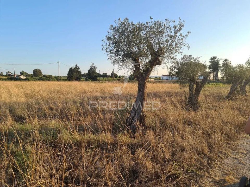 Helårsgrund i Palmela, Setubal - foto 5
