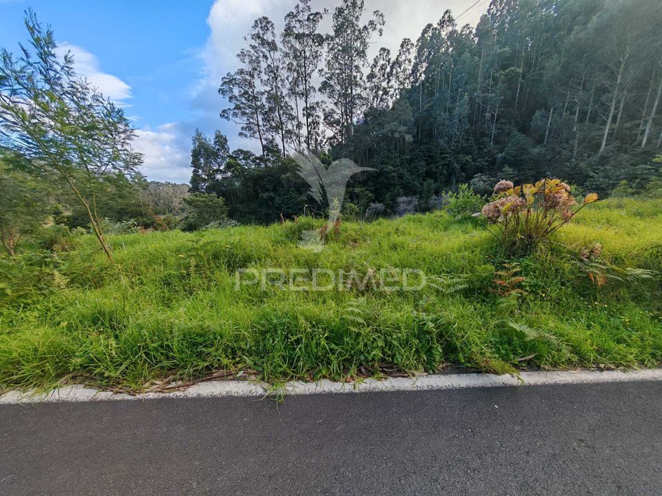Helårsgrund i Machico, Madeira - foto 5