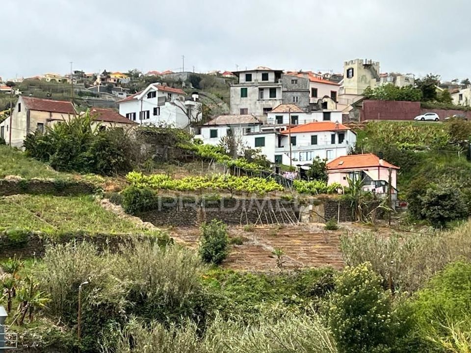 Helårsgrund i Ponta do Sol, Madeira - foto 3