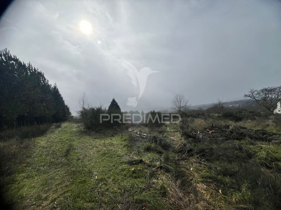 Helårsgrund i Penedono, Viseu - foto 3