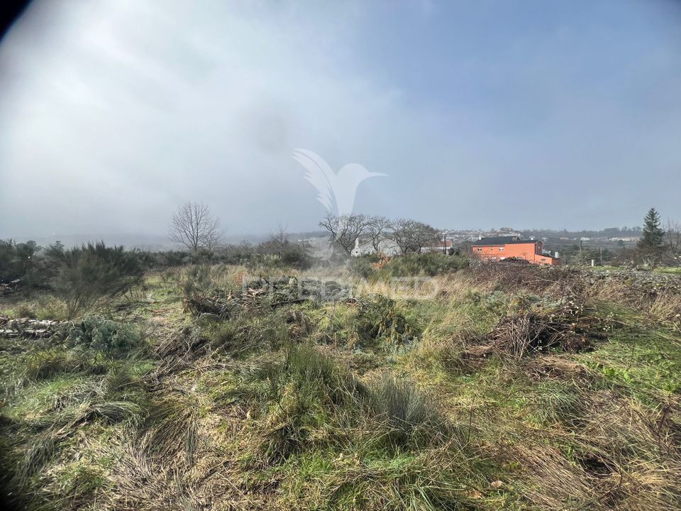Helårsgrund i Penedono, Viseu - foto 4