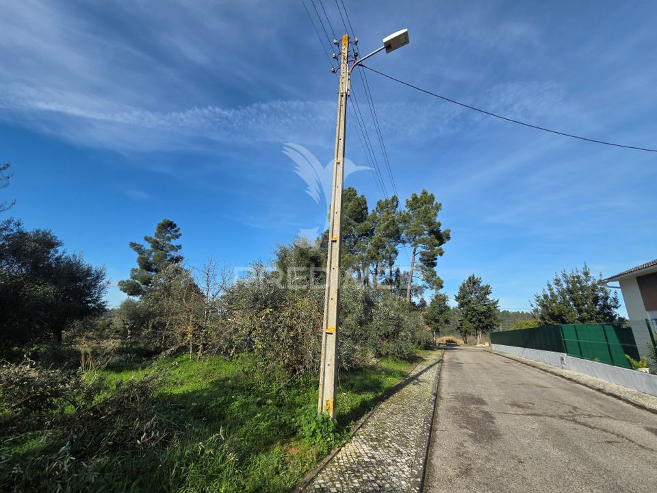 Helårsgrund i Vila Nova da Barquinha, Santarem - foto 2