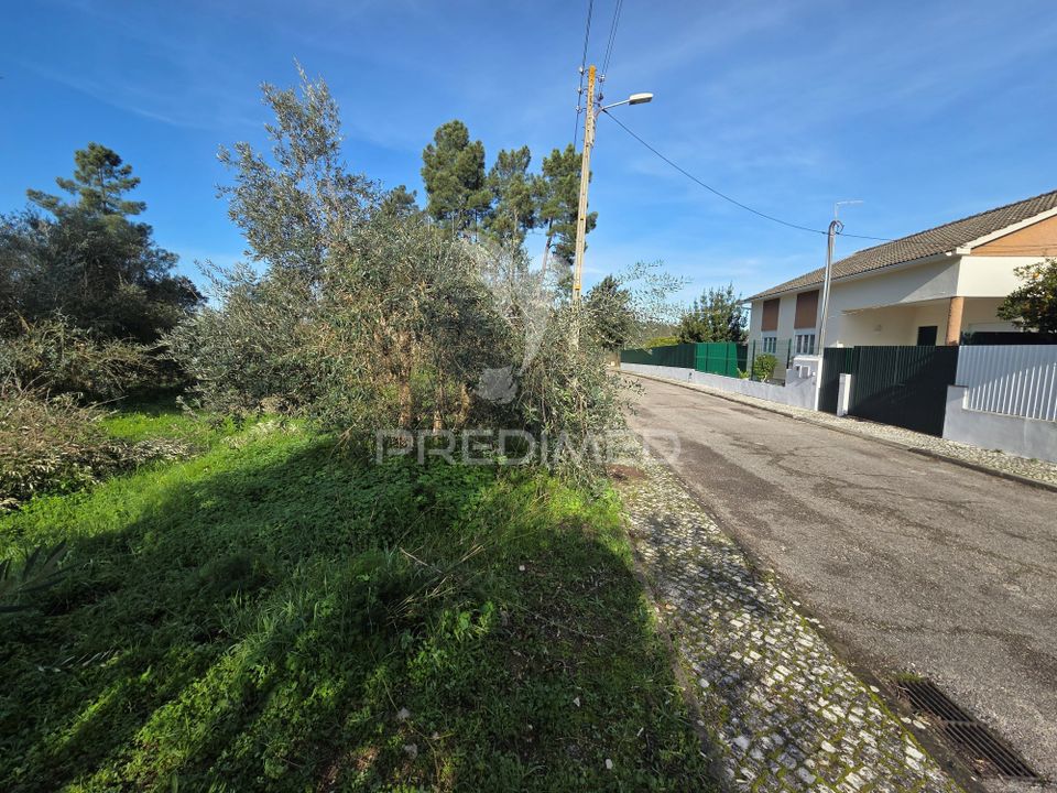 Helårsgrund i Vila Nova da Barquinha, Santarem - foto 3