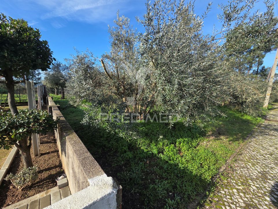 Helårsgrund i Vila Nova da Barquinha, Santarem - foto 4