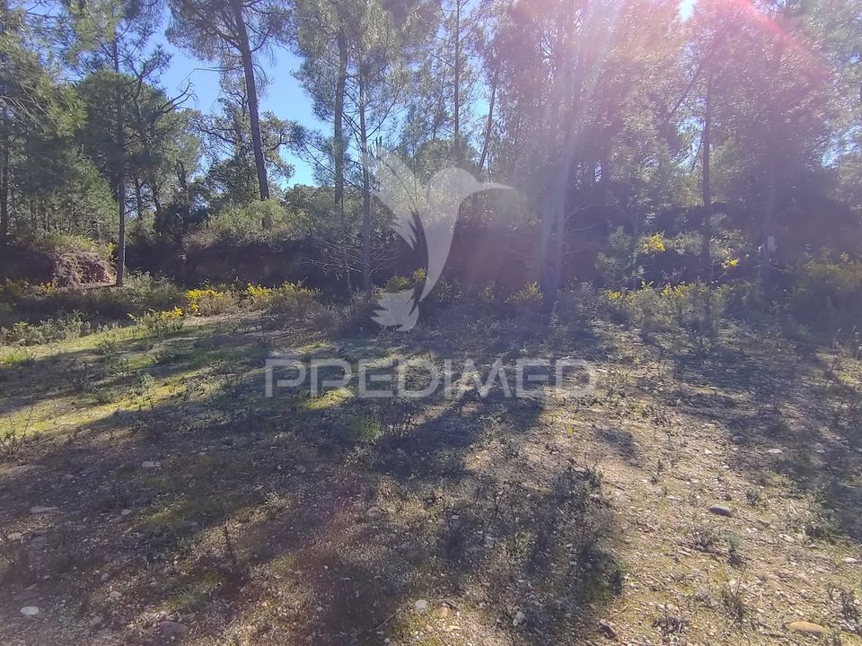 Grond in Constancia, Santarem - foto 2