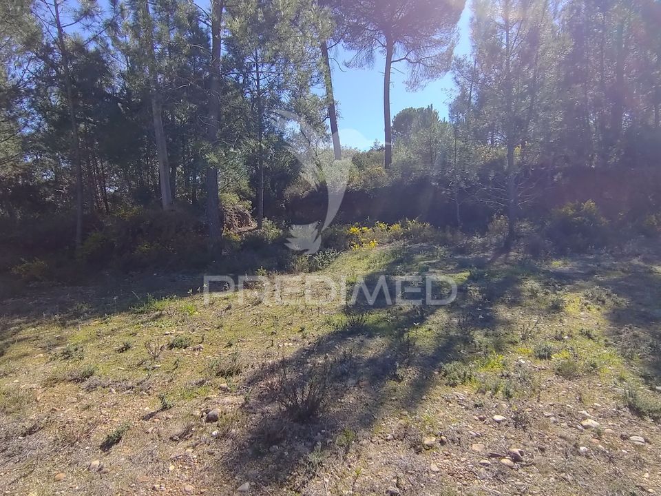 Grond in Constancia, Santarem - foto 3