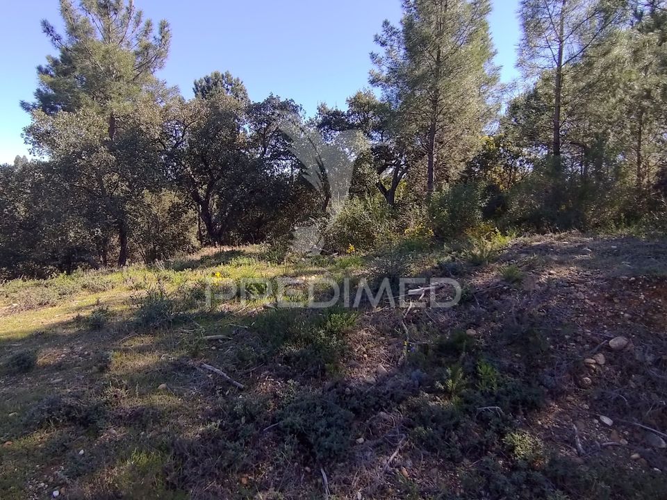 Grond in Constancia, Santarem - foto 4