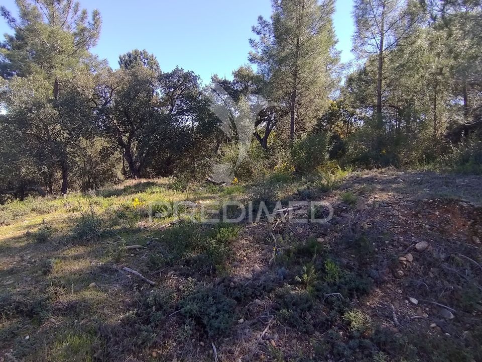 Grond in Constancia, Santarem - foto 5