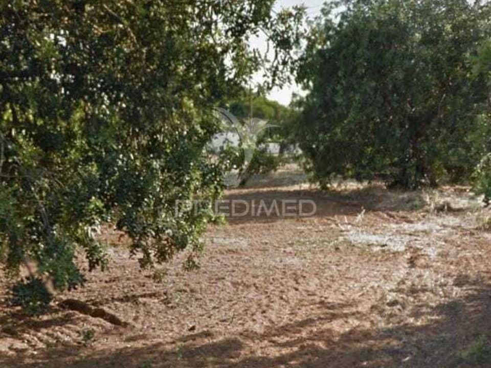 Land in Loule, Faro - photo 1