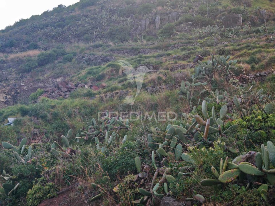 Helårsgrund i Machico, Madeira - foto 4