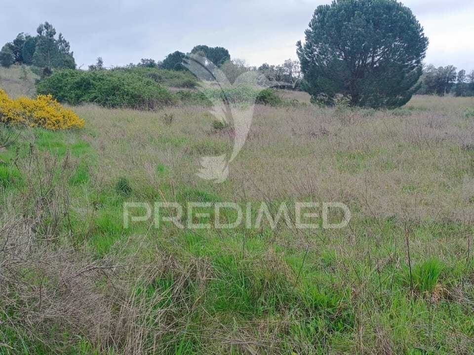 Helårsgrund i Mora, Evora - foto 4