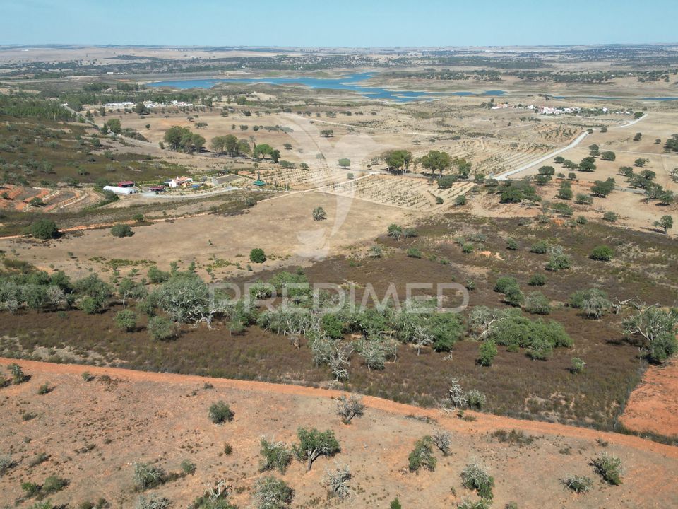 Terra a Ourique, Beja - foto 1