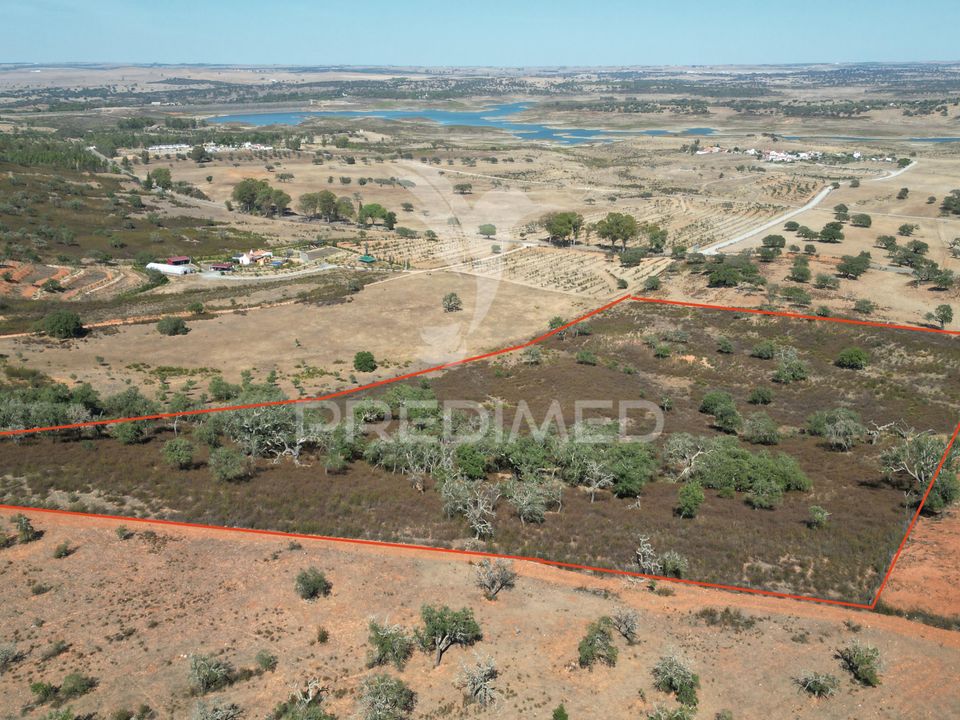 Terra a Ourique, Beja - foto 2