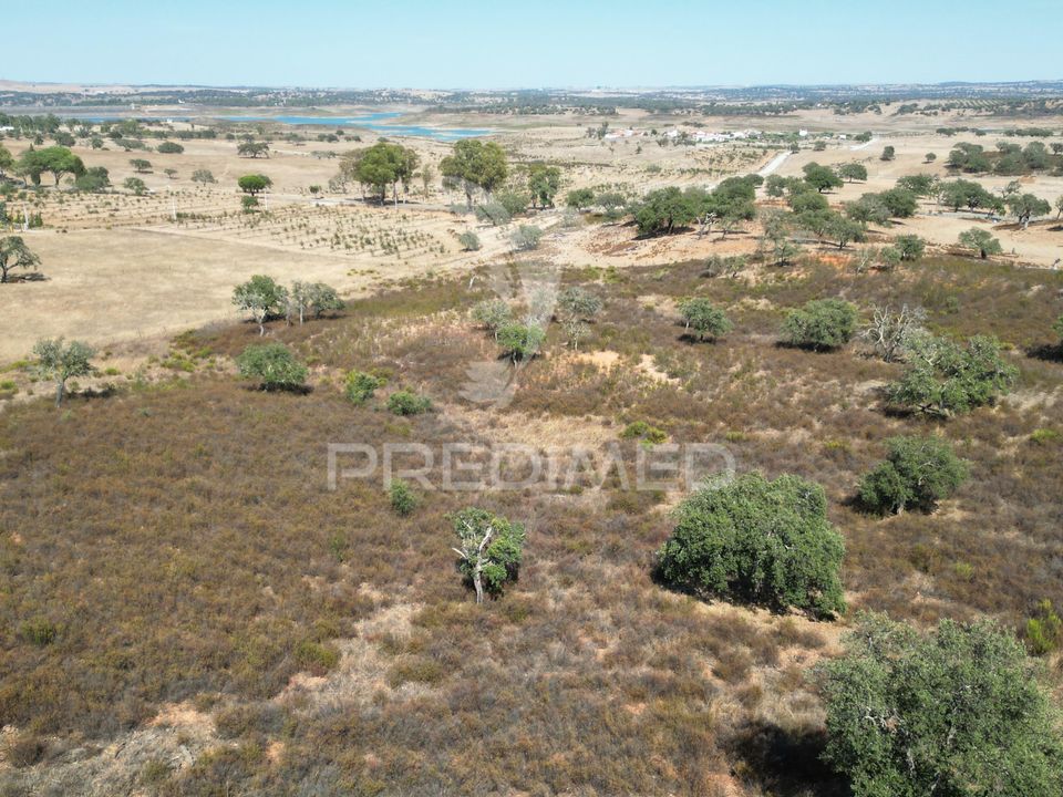 Terra a Ourique, Beja - foto 4