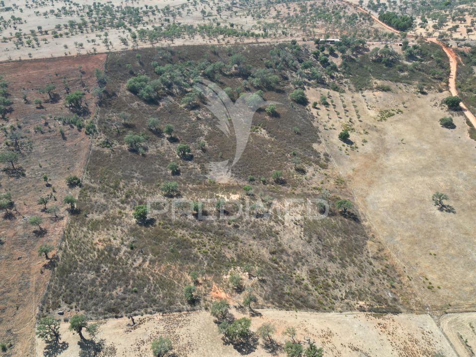 Terra a Ourique, Beja - foto 5