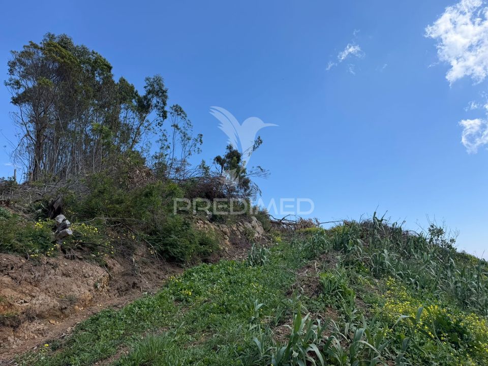 Helårsgrund i Ribeira Brava, Madeira - foto 1