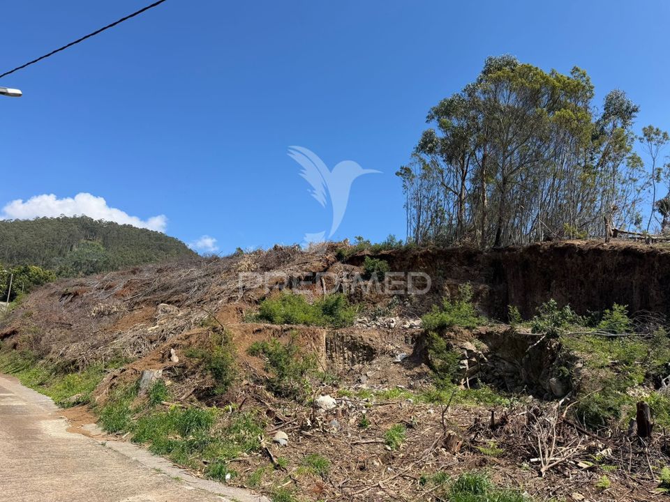 Helårsgrund i Ribeira Brava, Madeira - foto 3