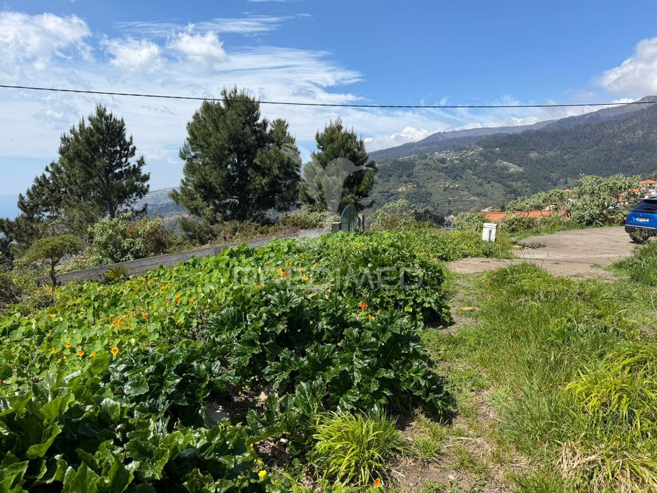 Helårsgrund i Ribeira Brava, Madeira - foto 4