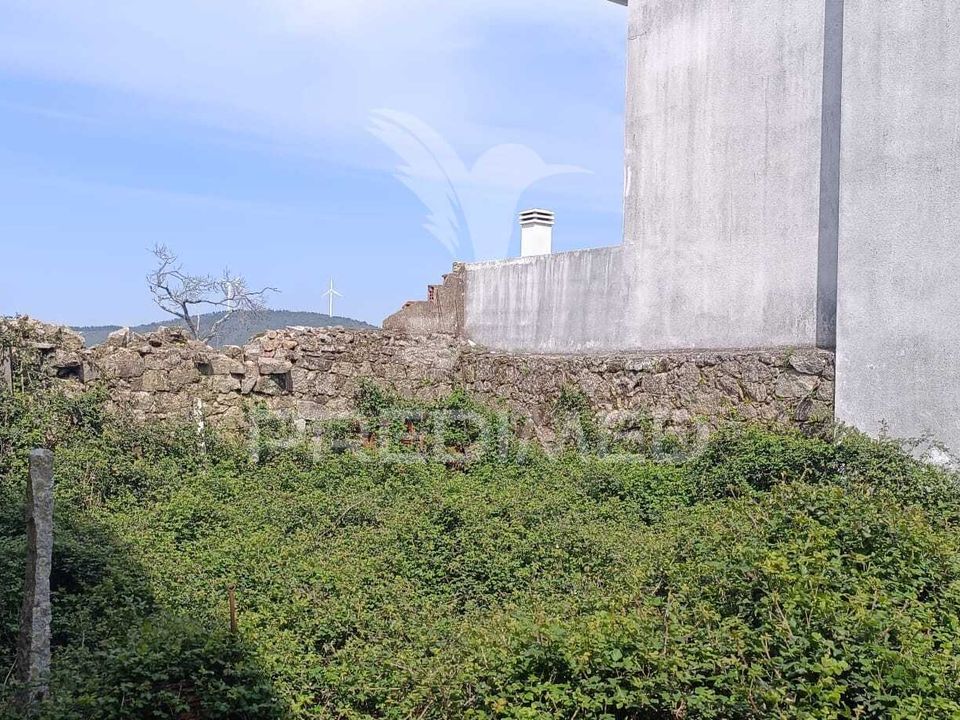 Terra a Penamacor, Castelo Branco - foto 4