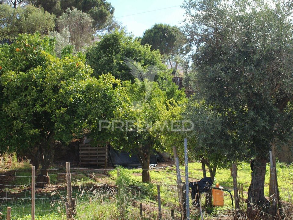 Helårsgrund i Redondo, Evora - foto 3