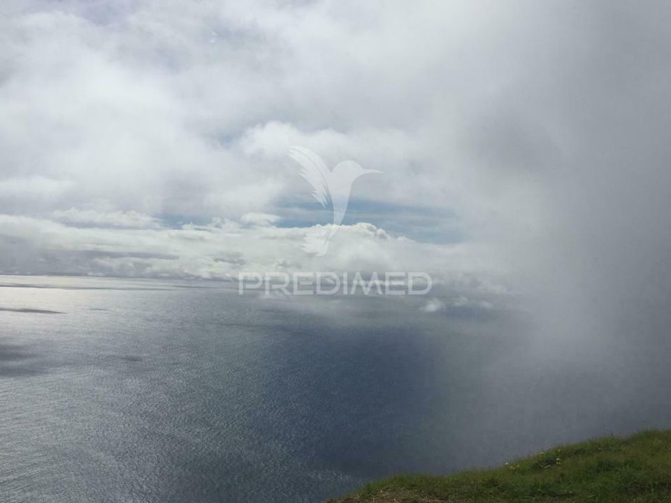 Helårsgrund i Calheta, Madeira - foto 5