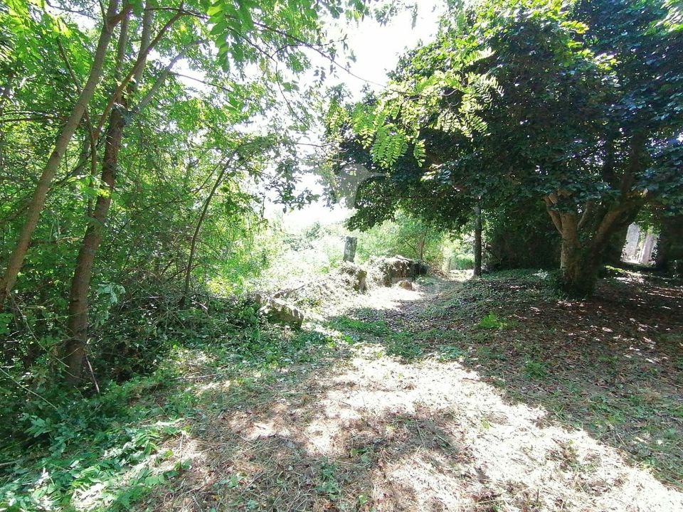 Farm hus i Marco de Canaveses, Porto - foto 1
