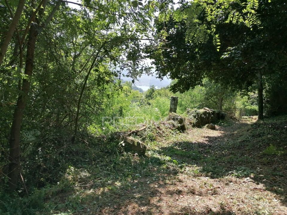 Farm hus i Marco de Canaveses, Porto - foto 2