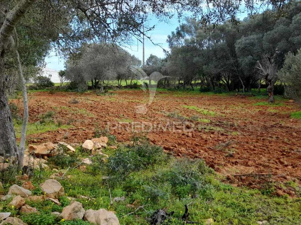 Helårsgrund i Olhao, Faro - foto 1