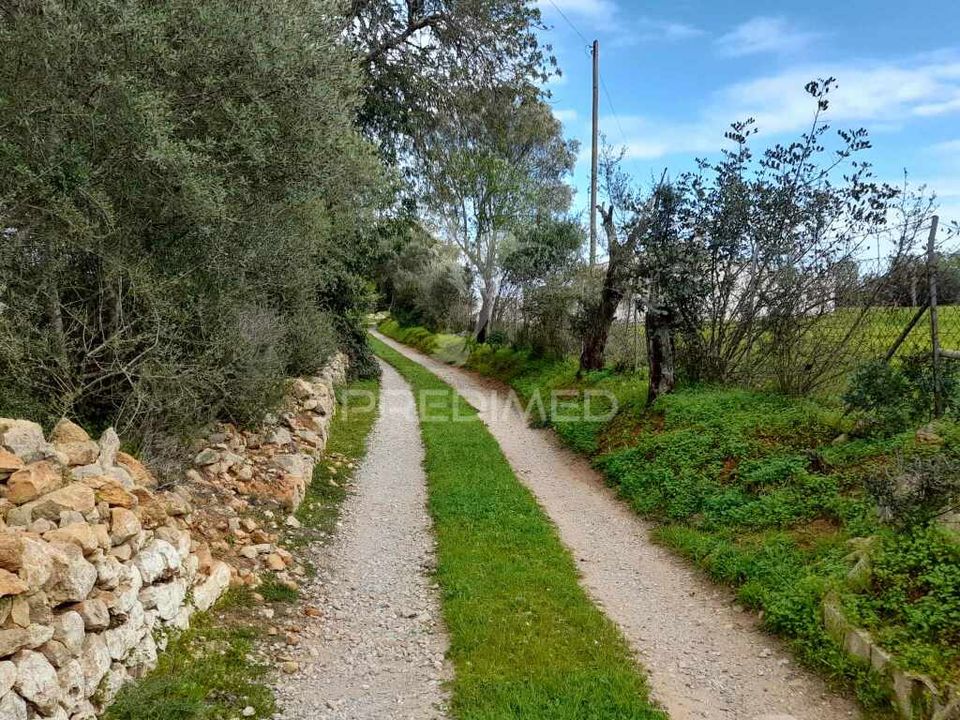 Helårsgrund i Olhao, Faro - foto 4