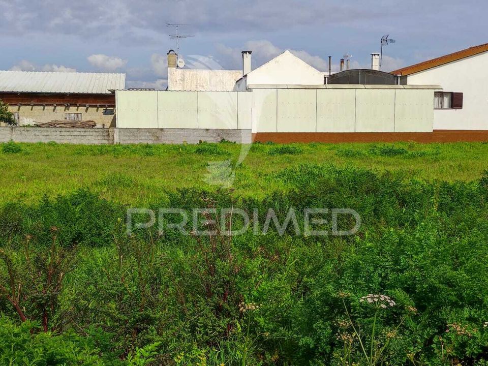 Helårsgrund i Vagos, Aveiro - foto 3