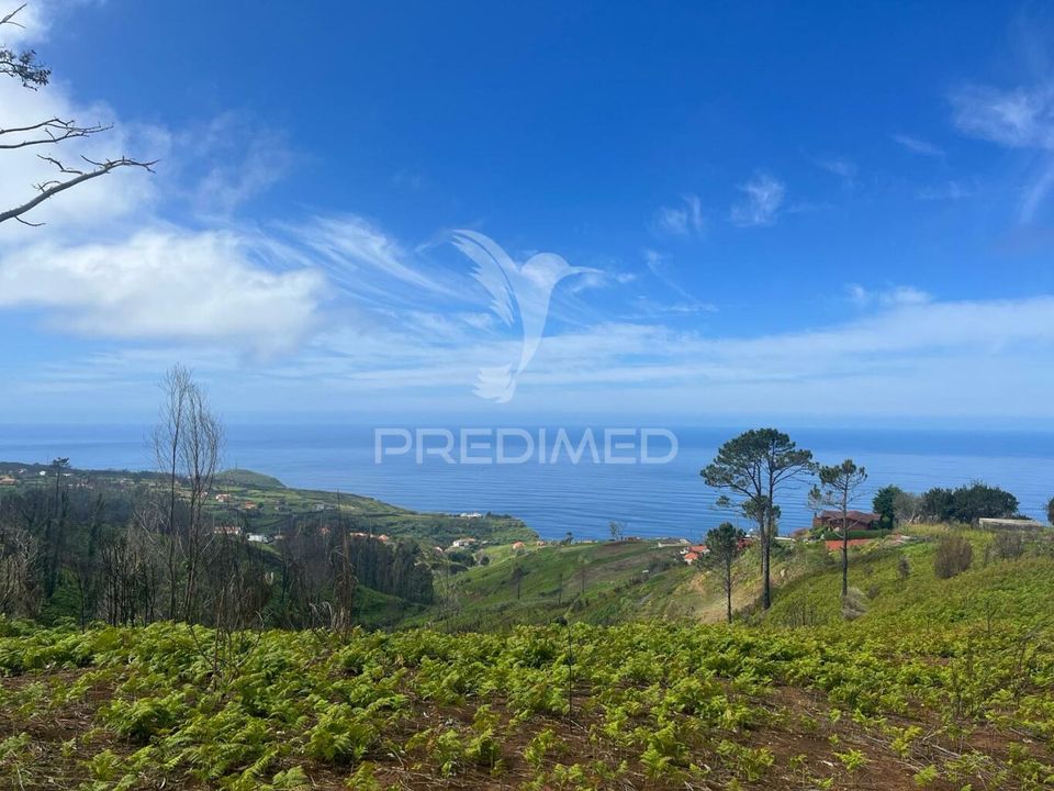 Helårsgrund i Calheta, Madeira - foto 2
