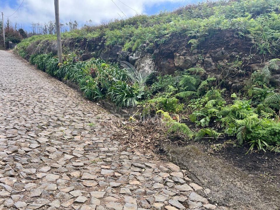 Helårsgrund i Calheta, Madeira - foto 4