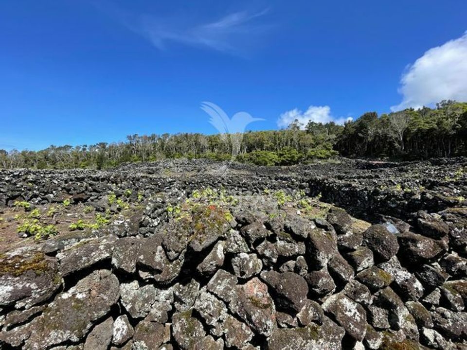 Helårsgrund i Madalena, Pico - foto 1