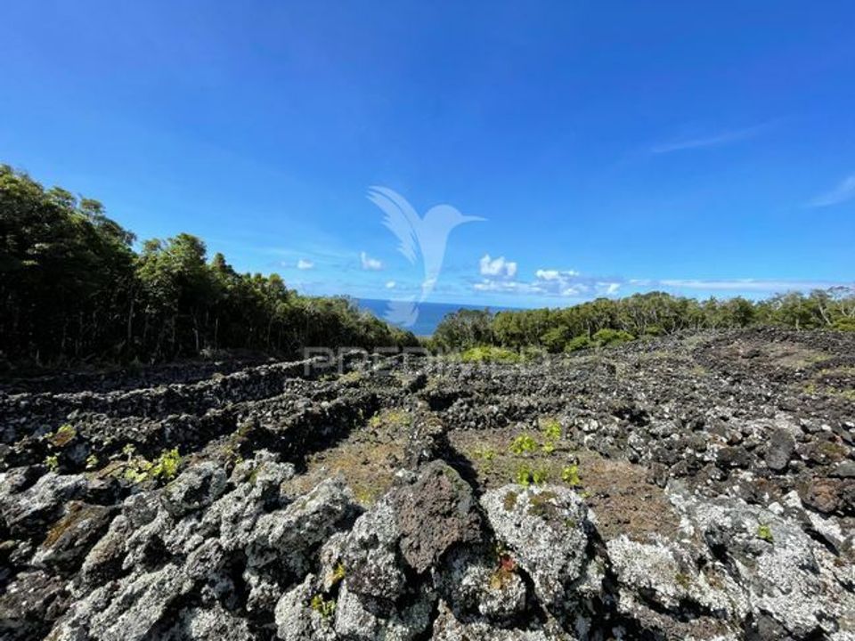 Helårsgrund i Madalena, Pico - foto 2