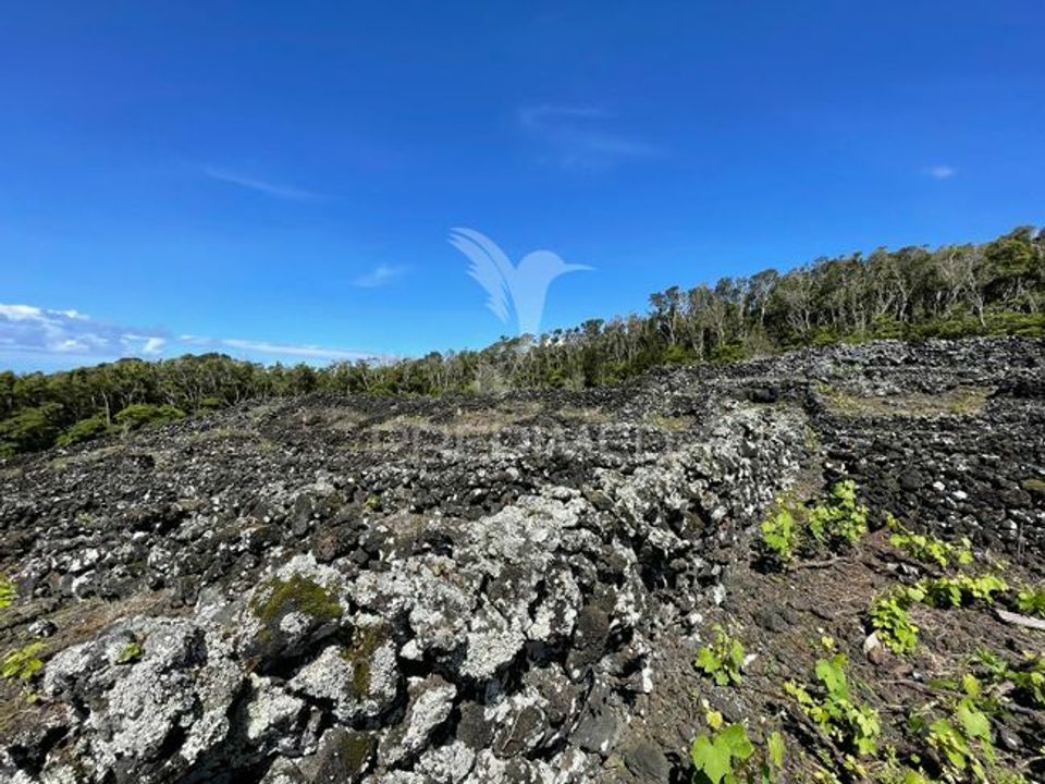 Helårsgrund i Madalena, Pico - foto 3
