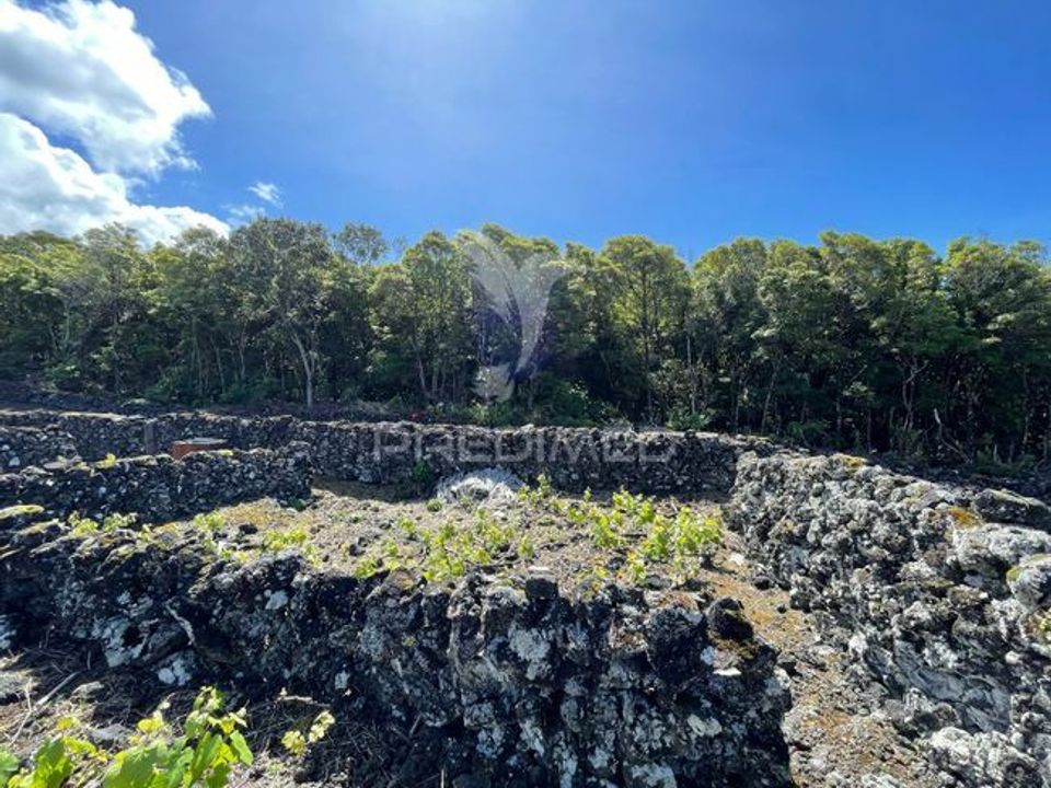Helårsgrund i Madalena, Pico - foto 4
