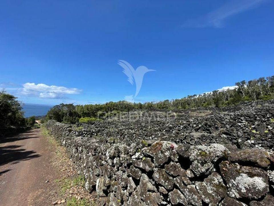 Helårsgrund i Madalena, Pico - foto 5