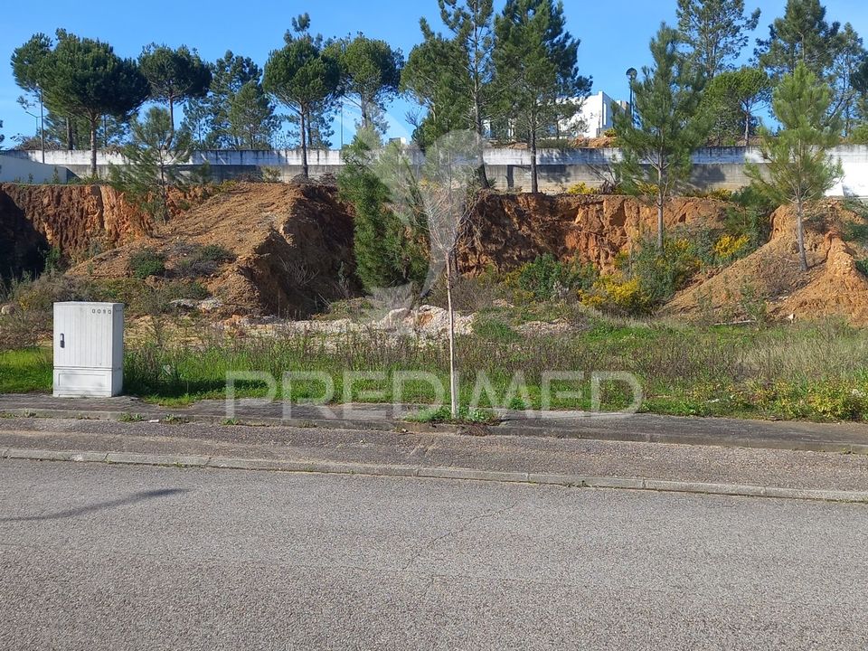 Terra a Constancia, Santarem - foto 2
