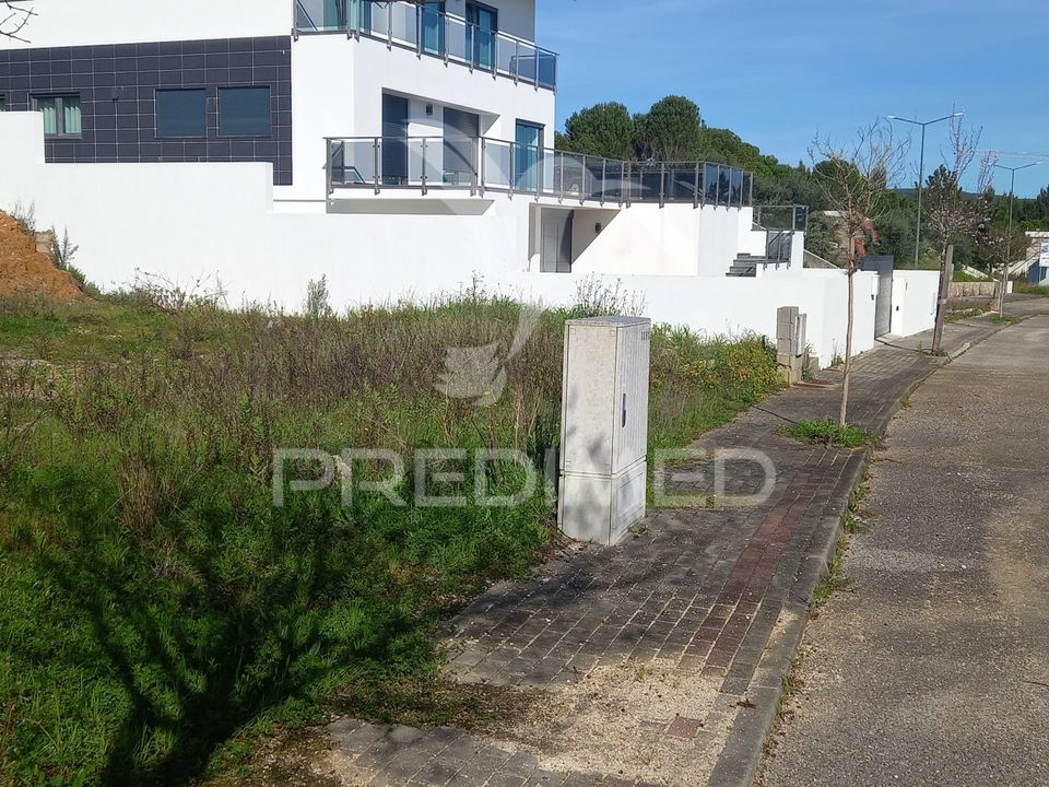 Terra a Constancia, Santarem - foto 3