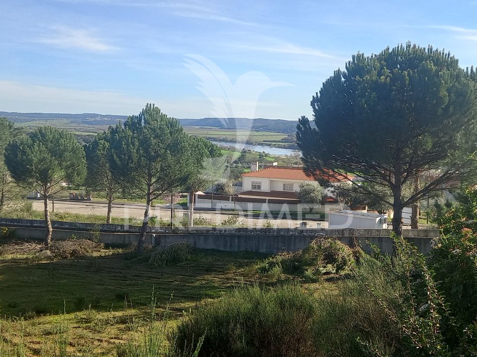 Terra a Constancia, Santarem - foto 1
